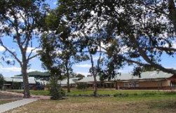 Clayton View Primary School Koongamia
