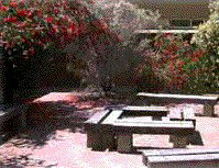 Cecil Andrews Senior High School Armadale