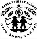 Capel Primary School Capel