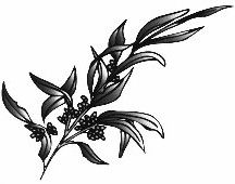 East Maddington Primary School Maddington