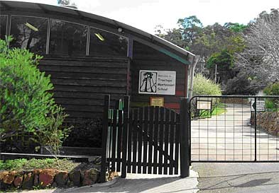 Treetops Montessori Primary School Darlington