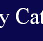 McCarthy Catholic College Tamworth - Education WA
