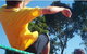 Rossbourne School - thumb 1