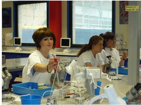 Northcote VIC Education WA