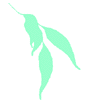Horticultural Training Pty Ltd - Education WA