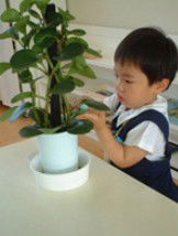 Australian Montessori Society - Education WA 3