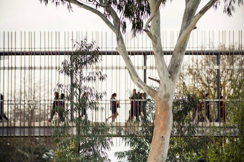 Our Lady Of Mercy College - Education WA 4