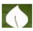 SA COLLEGE OF NATURAL AND TRADITIONAL MEDICINE PTY LTD - Education WA