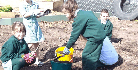 Chalcot Lodge Primary School - Education WA 0