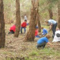 Guildford Primary School - Education WA 4