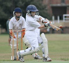 Sydney Grammar Edgecliff Preparatory School - thumb 2