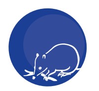 Mylor SA Education WA