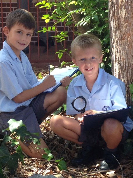 Good Shepherd Catholic Primary School Kelmscott - Education WA 4