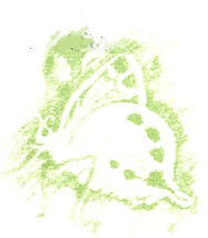 Linuwel School Ltd - Education WA 0