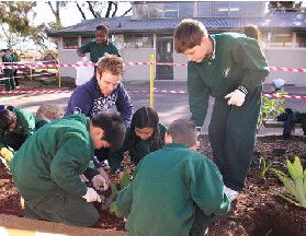 St Albans North Primary School - Education WA 2
