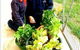 Stella Maris - thumb 3
