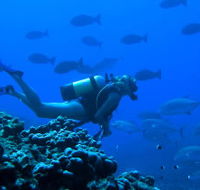 Aquatic Adventures Courses - Education WA