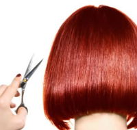 The Angel Hair  Beauty Institute- Hair  Beauty School Ballarat - Education WA