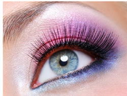 Beauty Contacts Beauty Training - Education WA 0