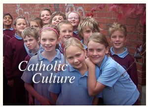 St Alipius Parish Primary School - Education WA 0