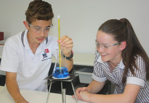 Wantirna College - Education WA 1