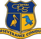 Cattai Public School - Education WA