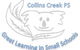 Collins Creek Public School - thumb 0