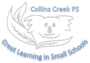 Collins Creek Public School - Education WA 0