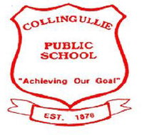 Corrimal Public School - Education WA