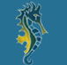 Narooma Golf Club - Education WA
