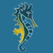 Narooma Golf Club