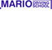 Mario Driving School - Education WA