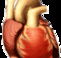Lynex Health Care  Training Services - Education WA