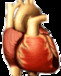 Lynex Health Care & Training Services - Education WA 0