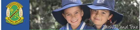 St Patrick's Primary School Emerald - Education WA 0