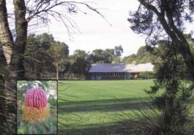Banksia Park Primary School - Education WA 3