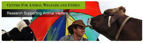 Centre For Animal Welfare And Ethics - Education WA 0