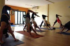 The Yoga Space - Education WA 2