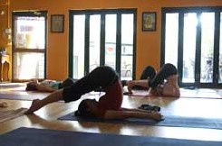 The Yoga Space - Education WA 3