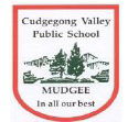 Cudgegong Valley Public School - Education WA