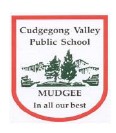 Cudgegong Valley Public School - Education WA 0