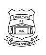 Camdenville Public School - Education WA 0