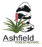 Ashfield Public School - Education WA 0
