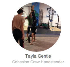 Cohesion Gym - Education WA 0
