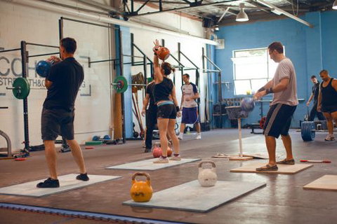 Cohesion Gym - Education WA 2