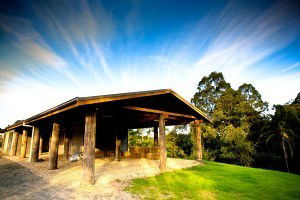 Australian College Of Eastern Medicine - Education WA 4