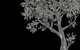 Chariklo School Of Archetypal Astrology - thumb 0