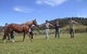 Unbridled Results - thumb 1