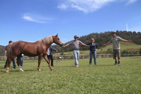 Unbridled Results - Education WA 1