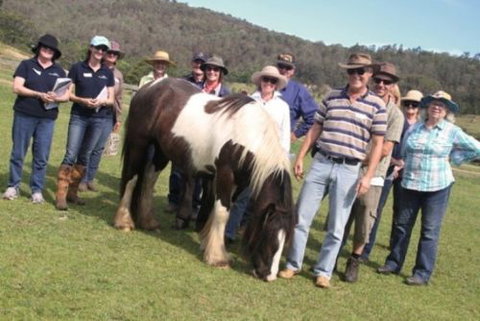 Unbridled Results - Education WA 2